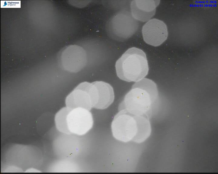 55464-1787187849.jpg