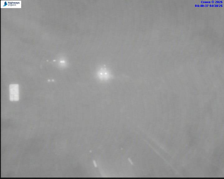 55493-1791088849.jpg