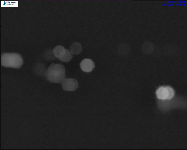 55501-1791074478.jpg