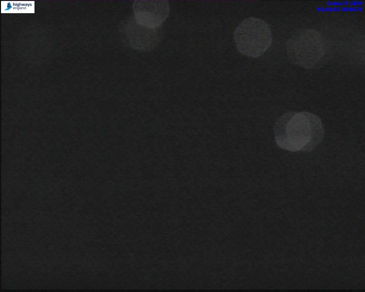 55504-1787187845.jpg