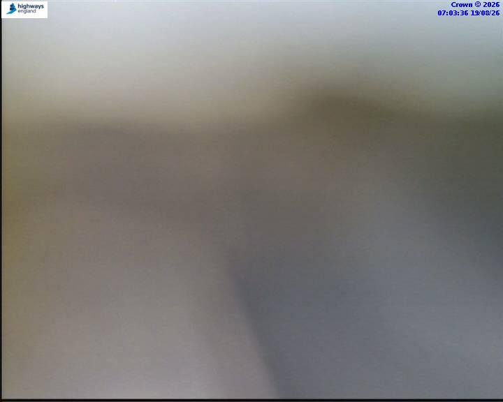 54674-1787123022.jpg