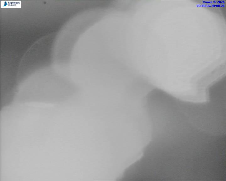 52839-1787202338.jpg