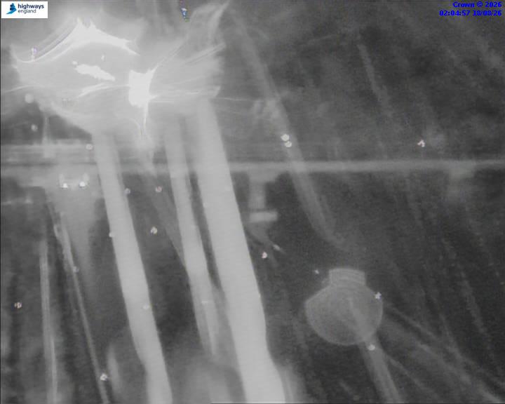 52835-1787018717.jpg