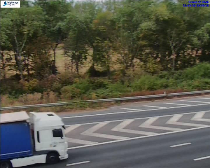 52806-1787137427.jpg