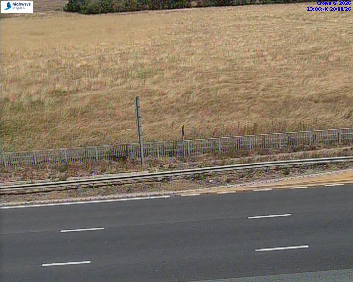 52768-1787231225.jpg