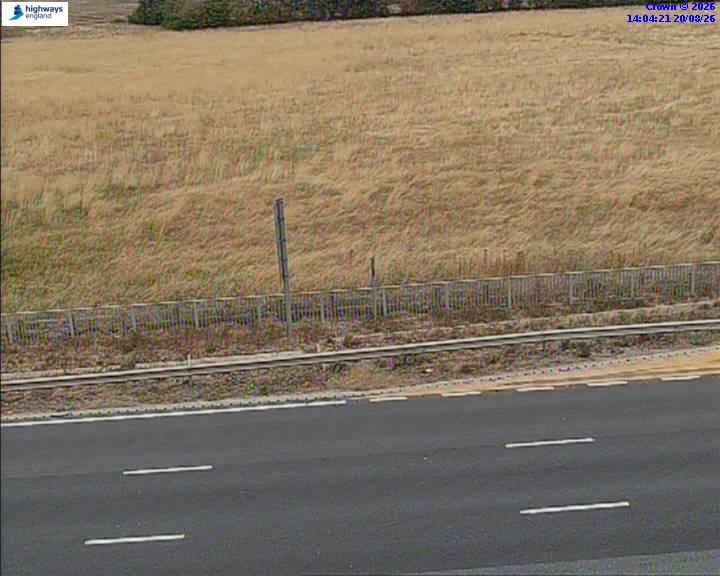 52768-1787234676.jpg