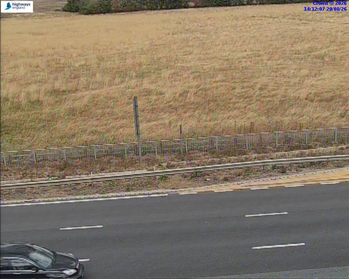 52768-1787235140.jpg