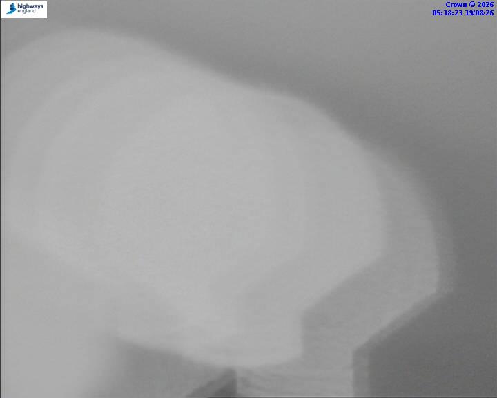 52772-1787116721.jpg