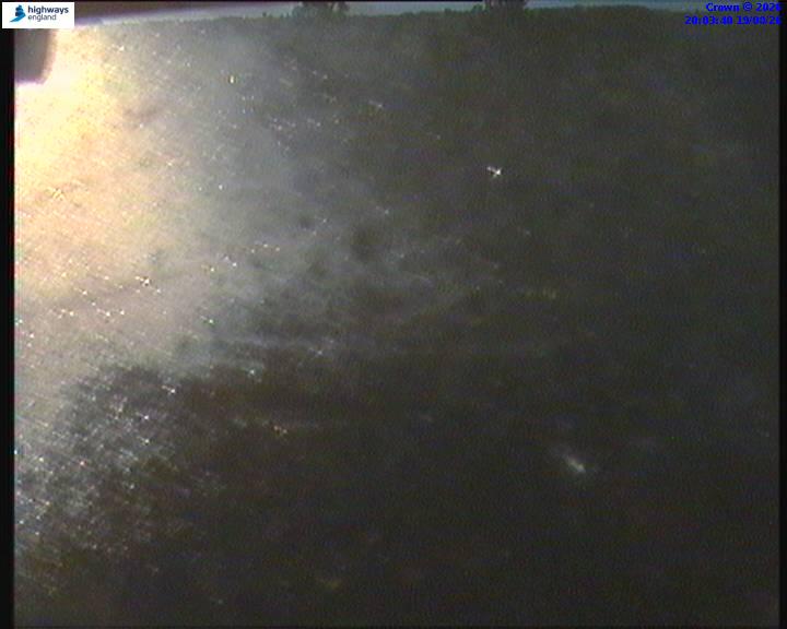 60299-1787169835.jpg