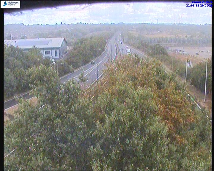 60356-1787223835.jpg