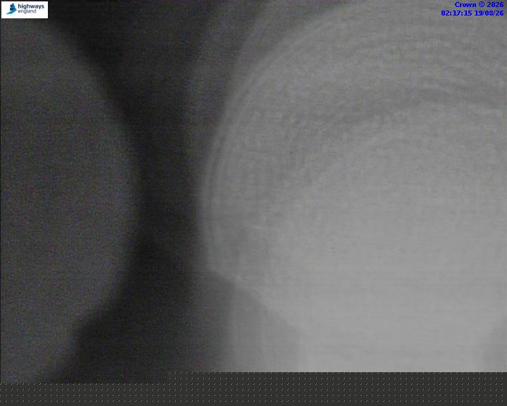 50755-1787105861.jpg