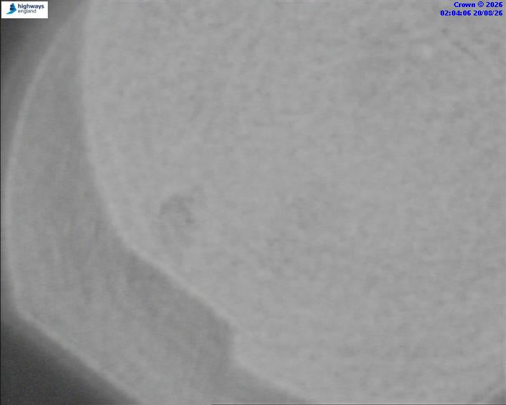 50801-1787191459.jpg