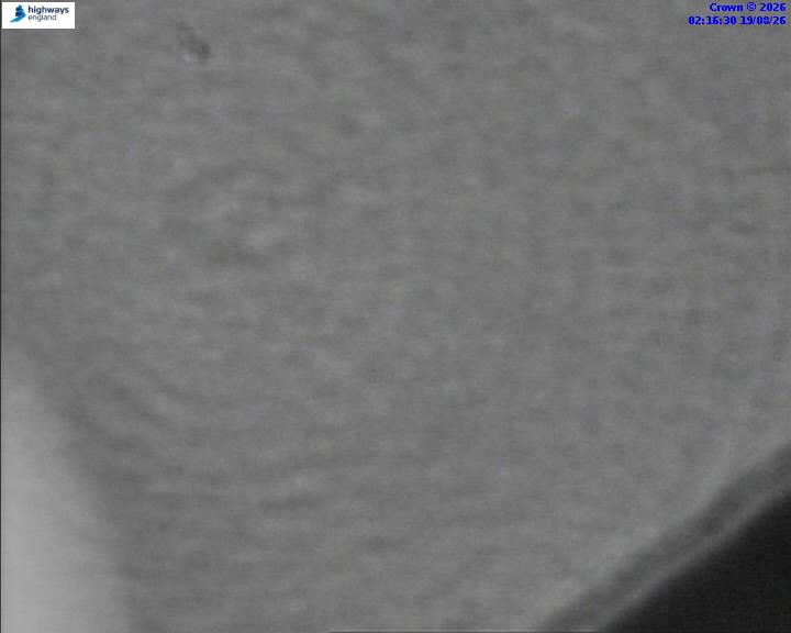 50807-1787105827.jpg