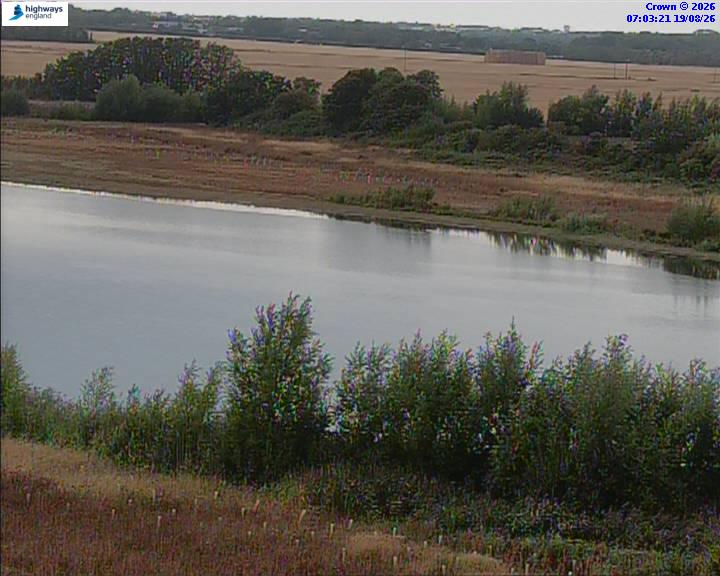 50820-1787123014.jpg
