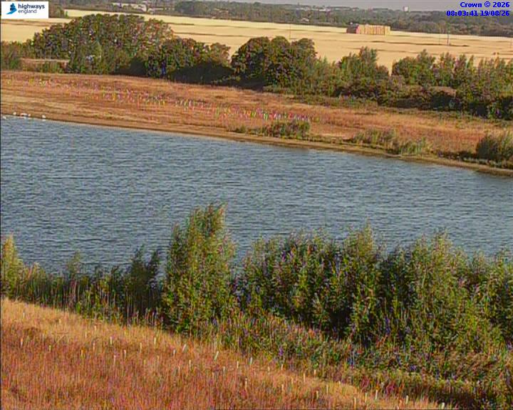 50820-1787126644.jpg