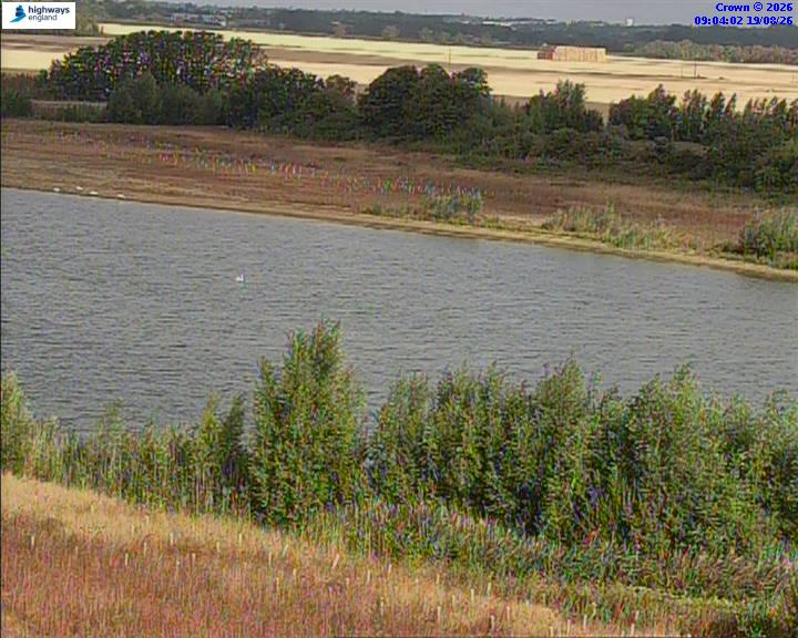 50820-1787130246.jpg