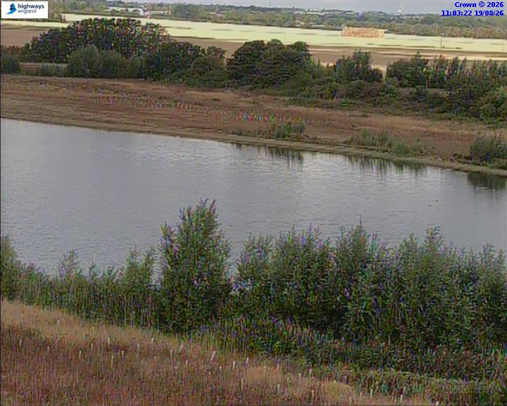 50820-1787137422.jpg