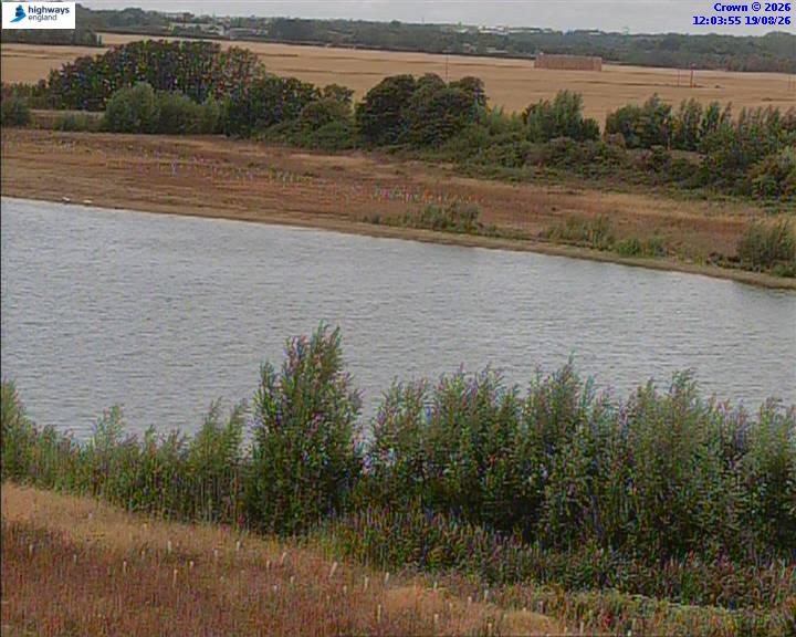 50820-1787141057.jpg
