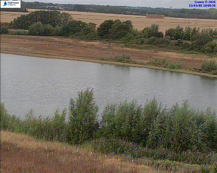 50820-1787144616.jpg