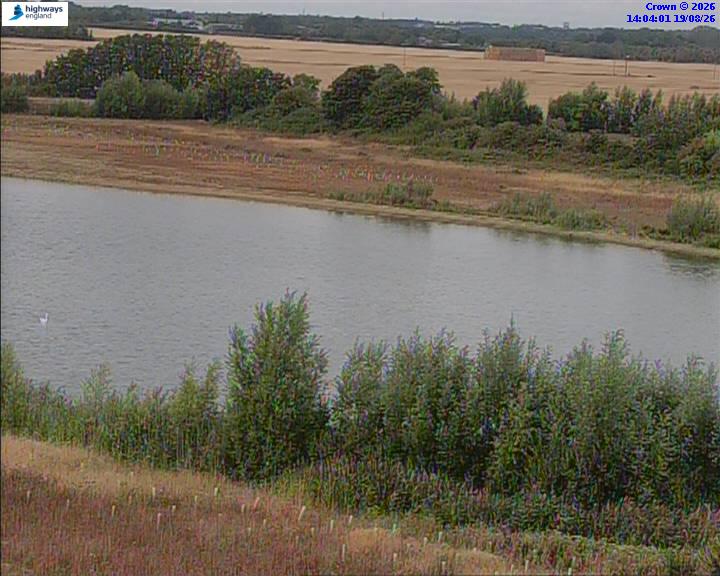 50820-1787148244.jpg