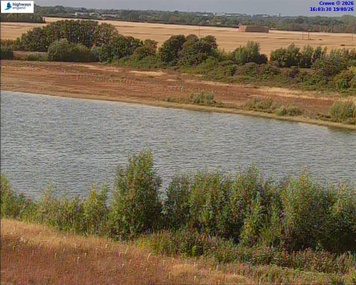 50820-1787155433.jpg