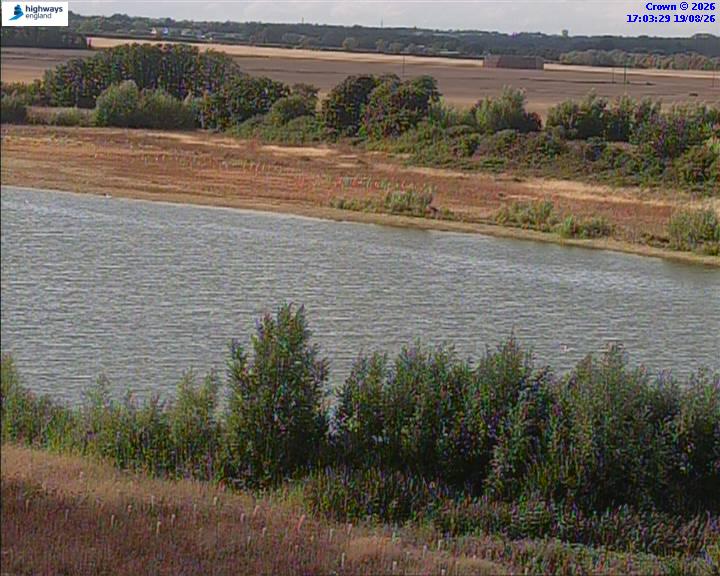 50820-1787159021.jpg