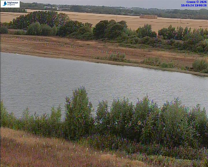 50820-1787162622.jpg