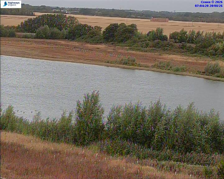 50820-1787209469.jpg