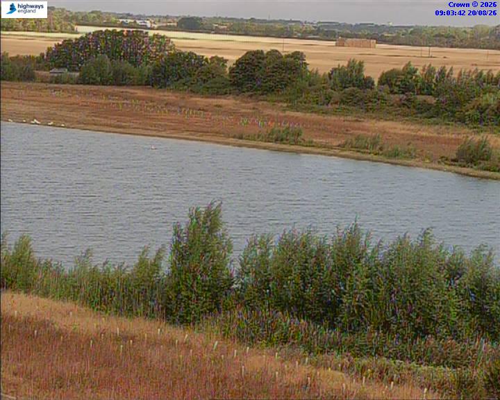 50820-1787216635.jpg