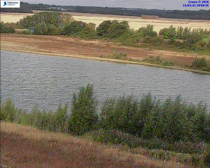50820-1787223832.jpg