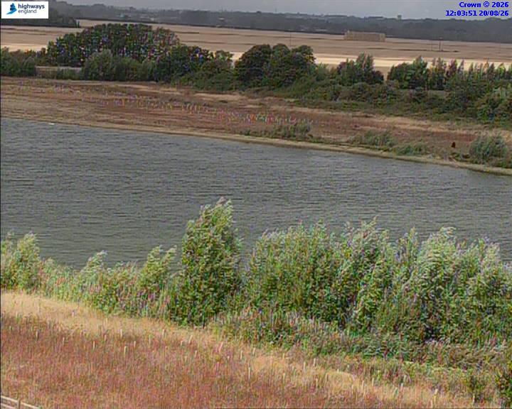 50820-1787227438.jpg
