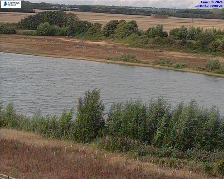 50820-1787231039.jpg