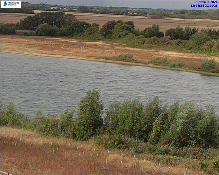 50820-1787234665.jpg
