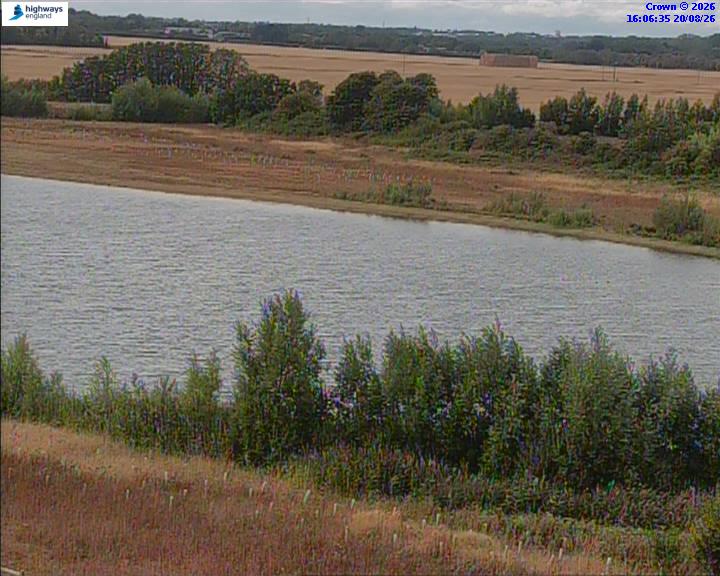 50820-1787241999.jpg