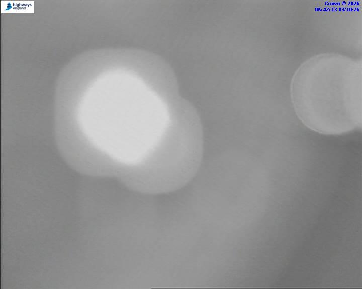 50829-1791009748.jpg