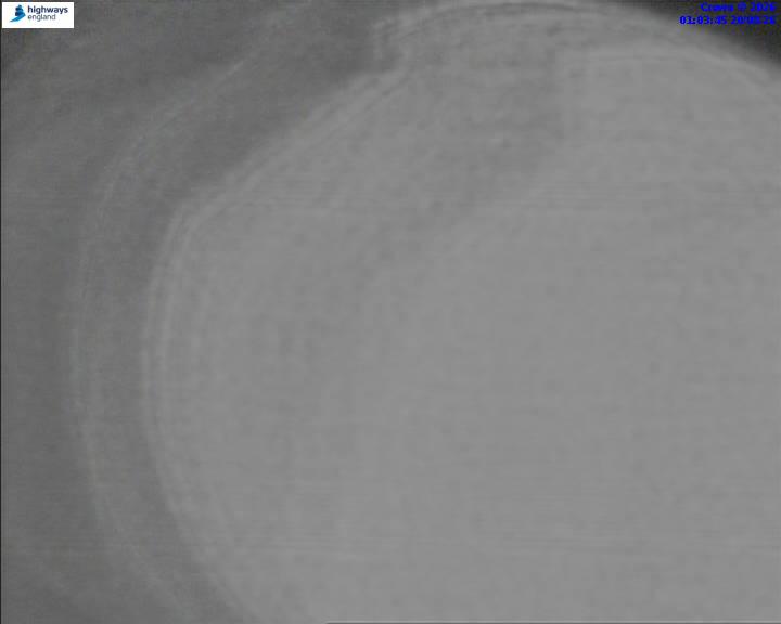 50856-1787187832.jpg