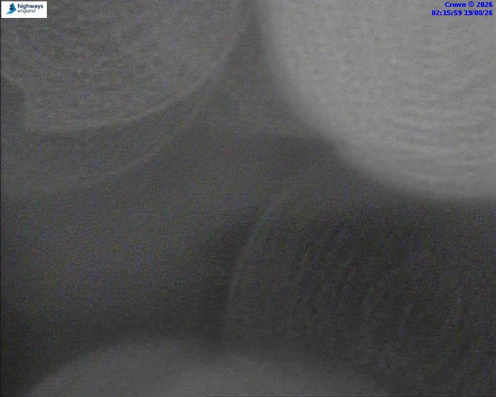 50711-1787105800.jpg