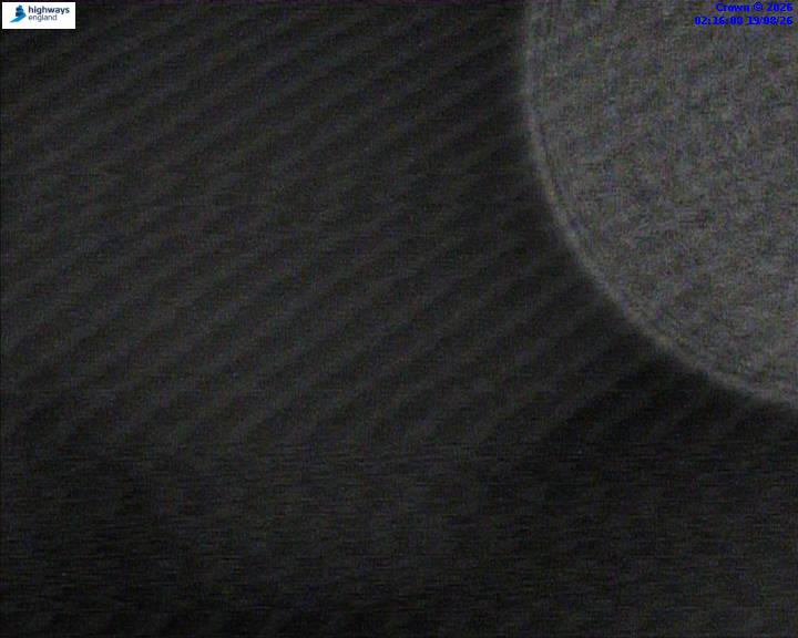52025-1787105801.jpg