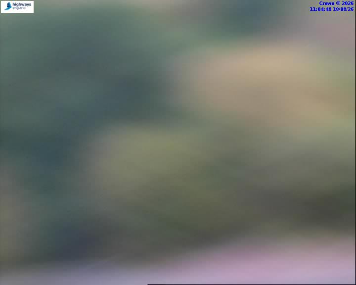 57695-1787051100.jpg