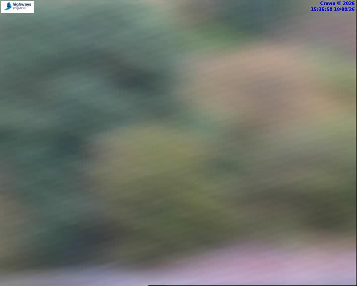 57695-1787067437.jpg