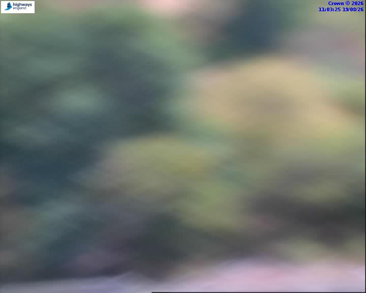 57695-1787137417.jpg