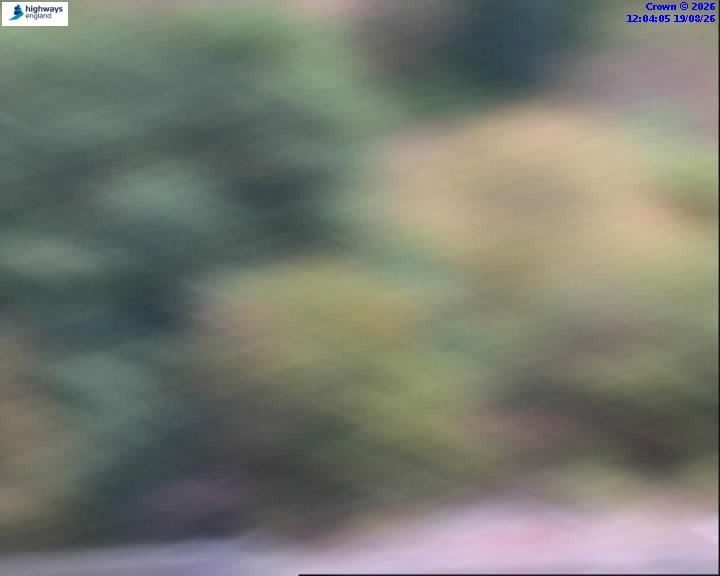 57695-1787141052.jpg