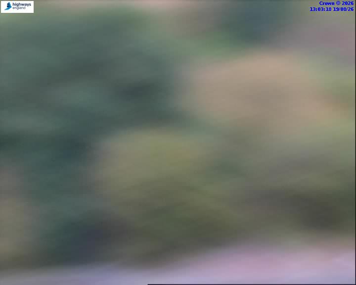 57695-1787144611.jpg