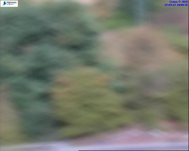 57695-1787159017.jpg