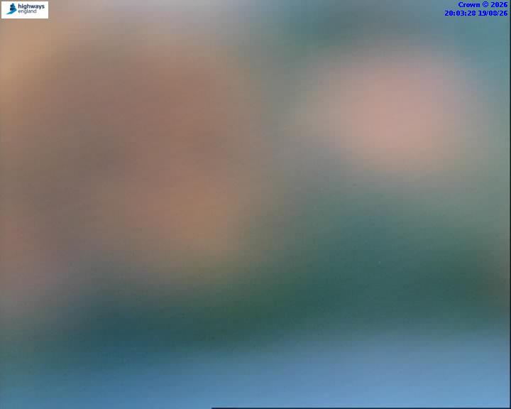 57695-1787169827.jpg