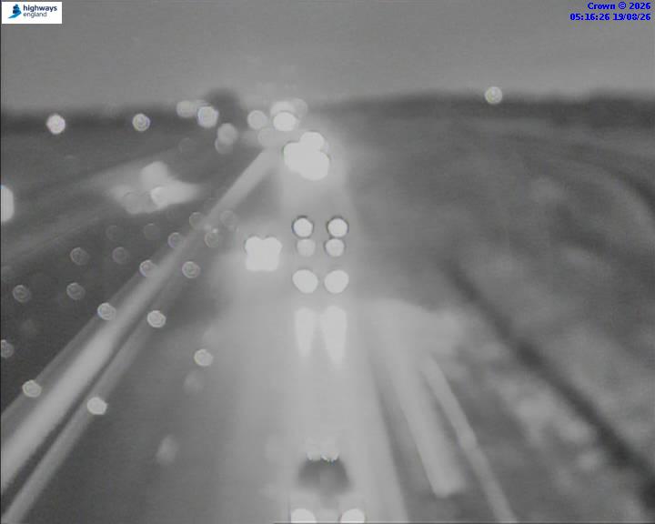 52037-1787116605.jpg