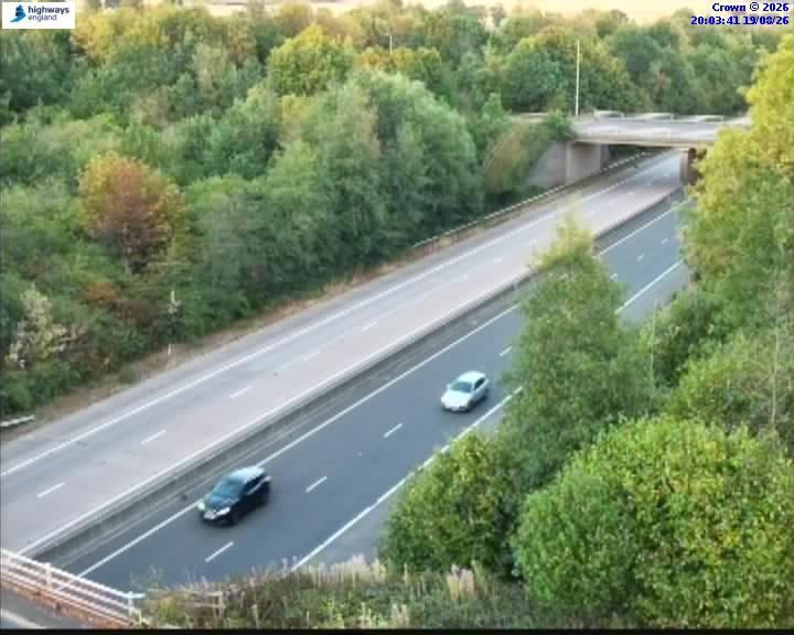 03358-1787169827.jpg