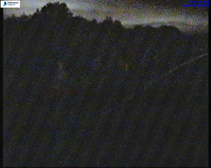 03296-1787018696.jpg