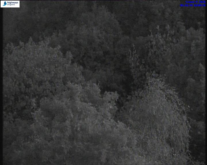 06113-1787116559.jpg