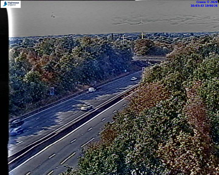 06113-1787155427.jpg